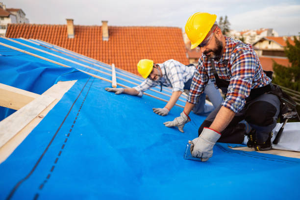 Best Flat Roof Repair Services  in Singac, NJ